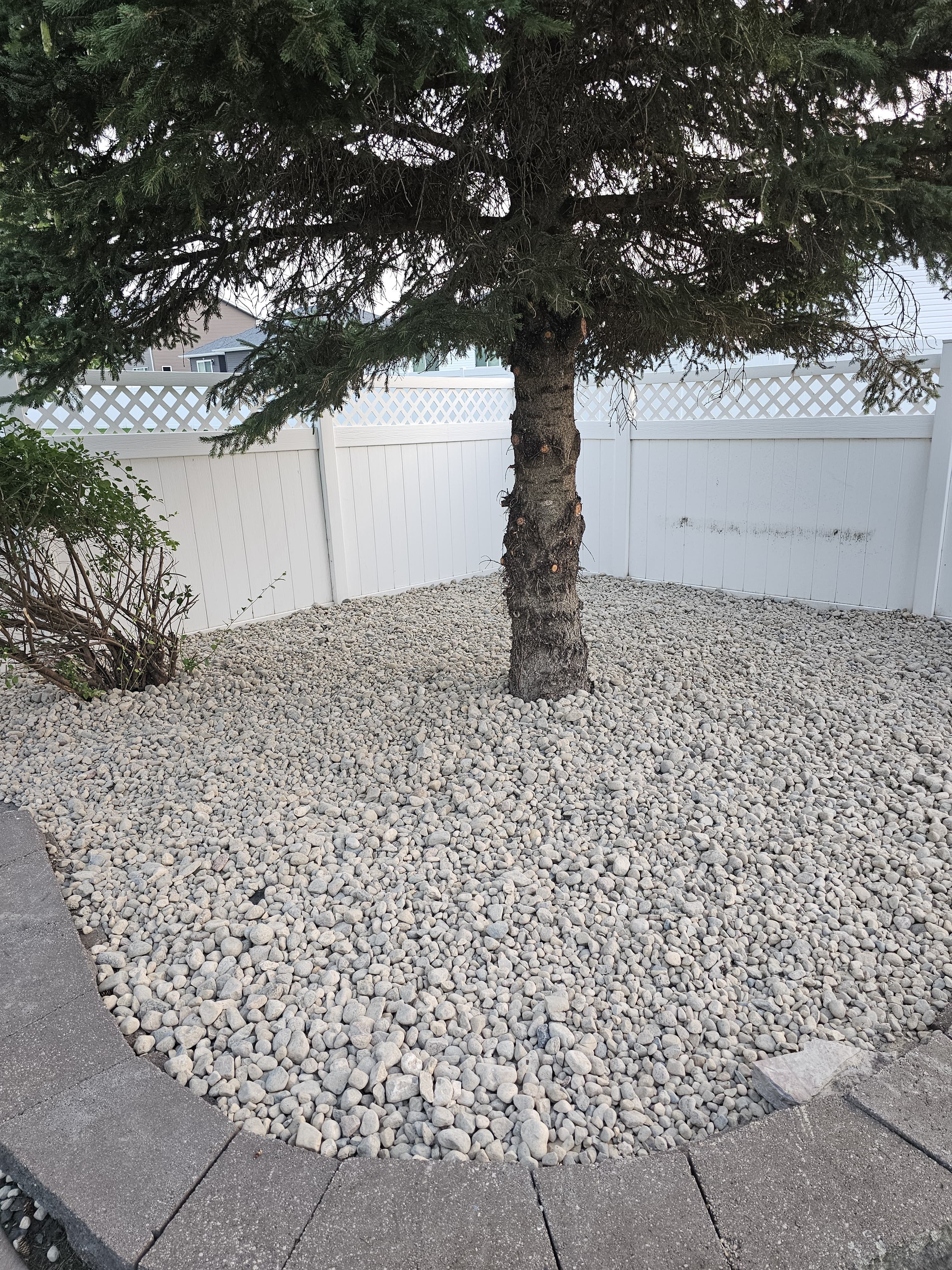 Gravel tree ring landscaping in Fargo ND