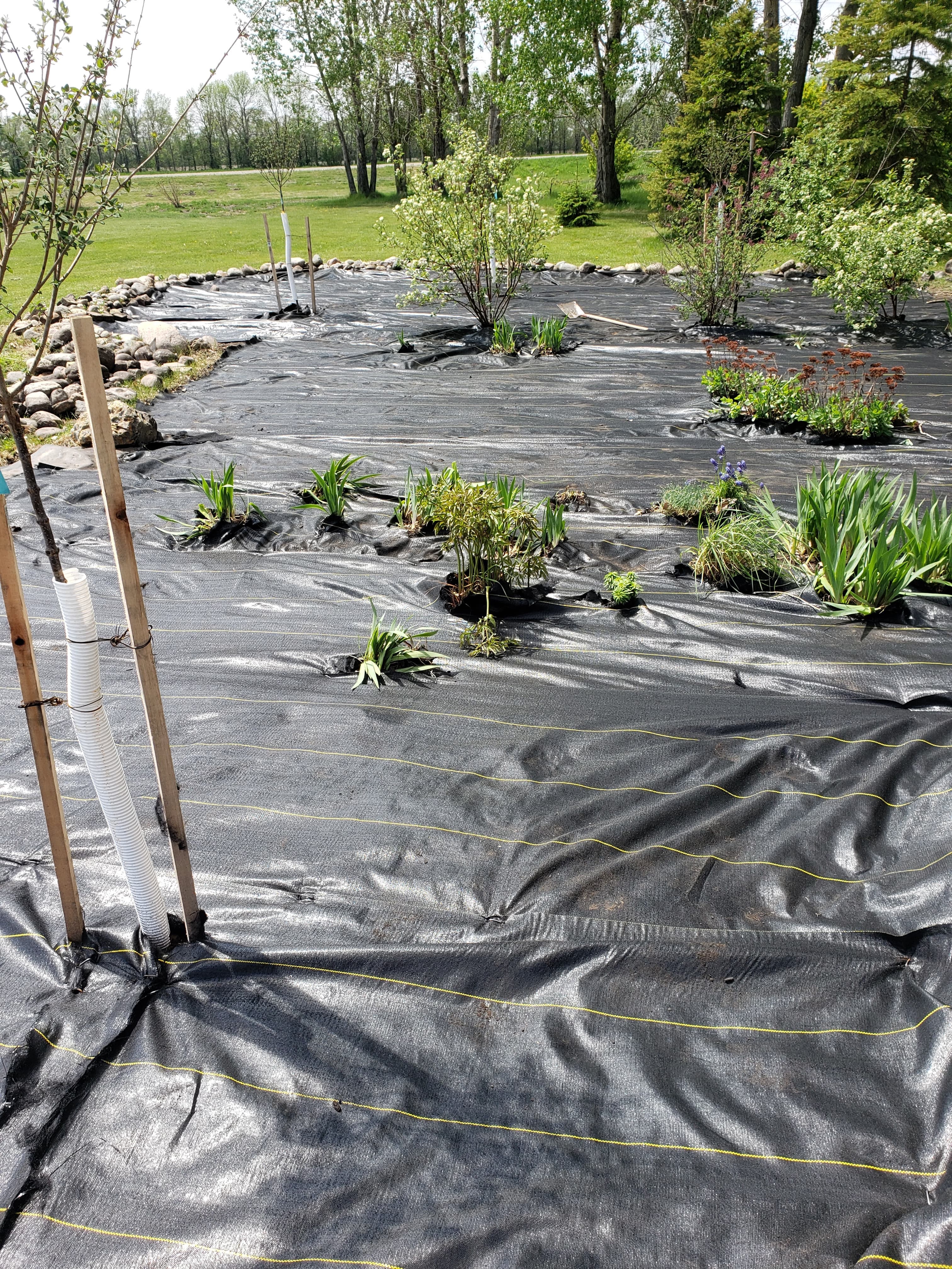 Weed barrier installation with new plantings in Fargo ND