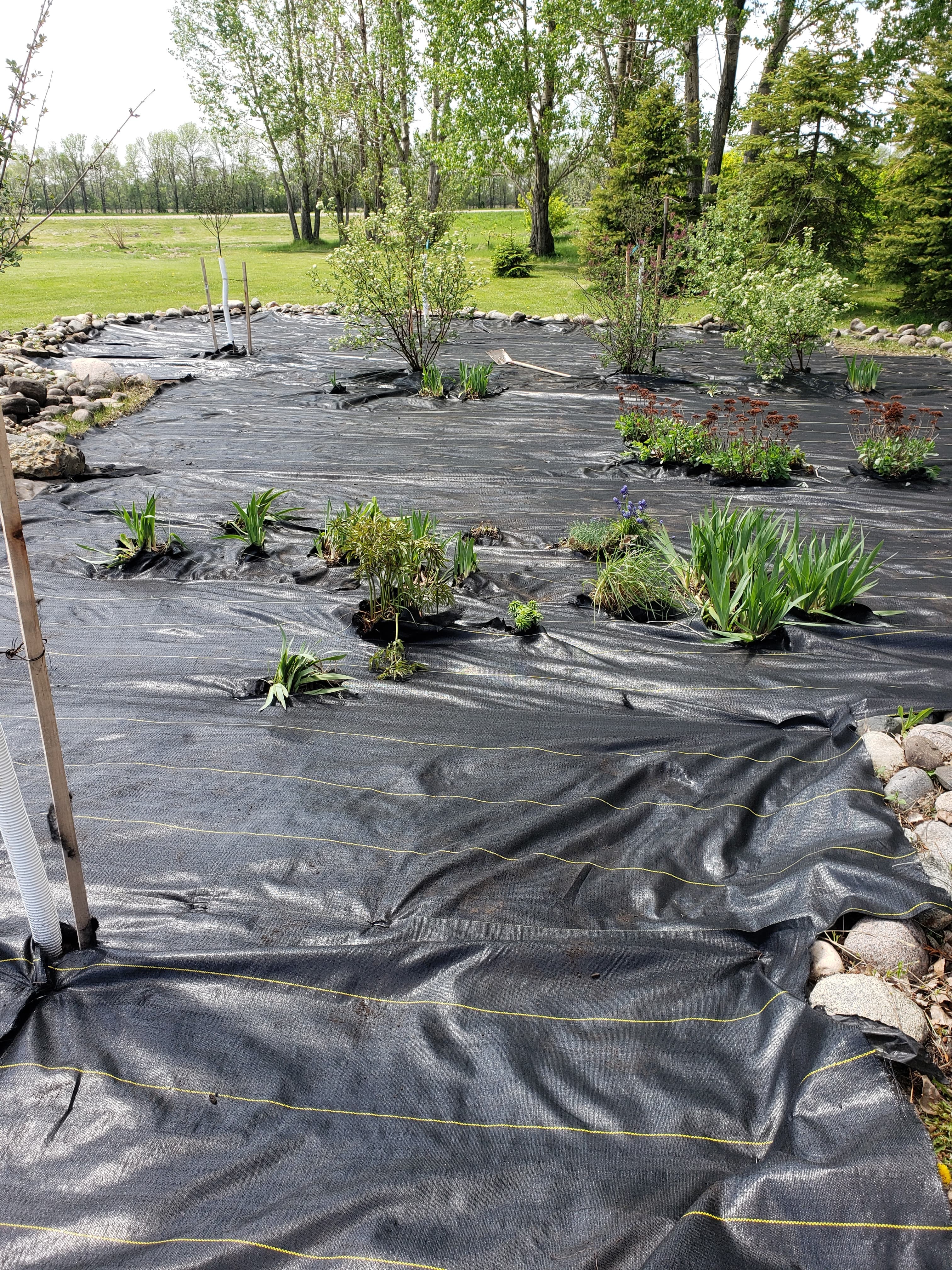 Large garden planting with weed barrier in Fargo ND