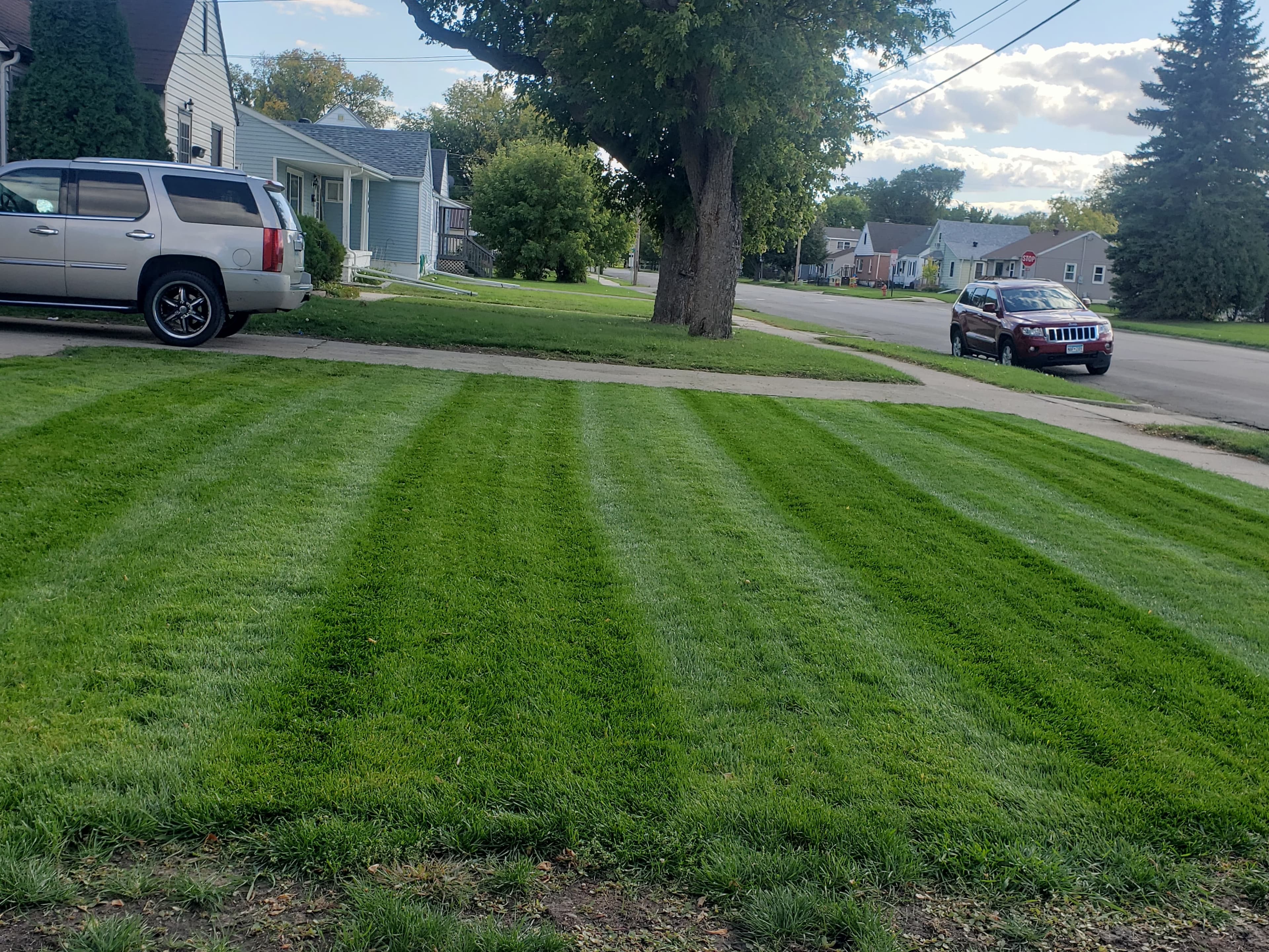 Beautiful striped lawn after restoration service in Moorhead MN