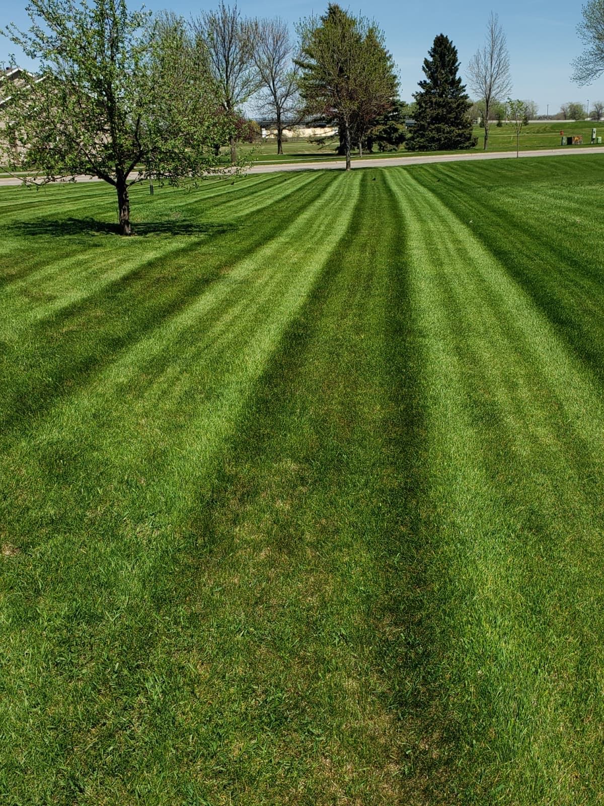 Premium lawn mowing with perfect stripes by PK Landscaping in Fargo ND